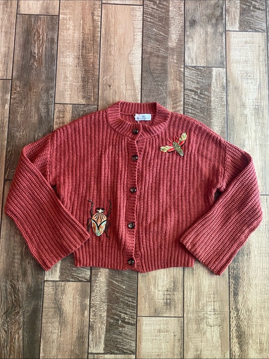 Wallflower Sweaters - Never a wallflower Women’s rust Red Embroidered Button-Front Sweater 🆕